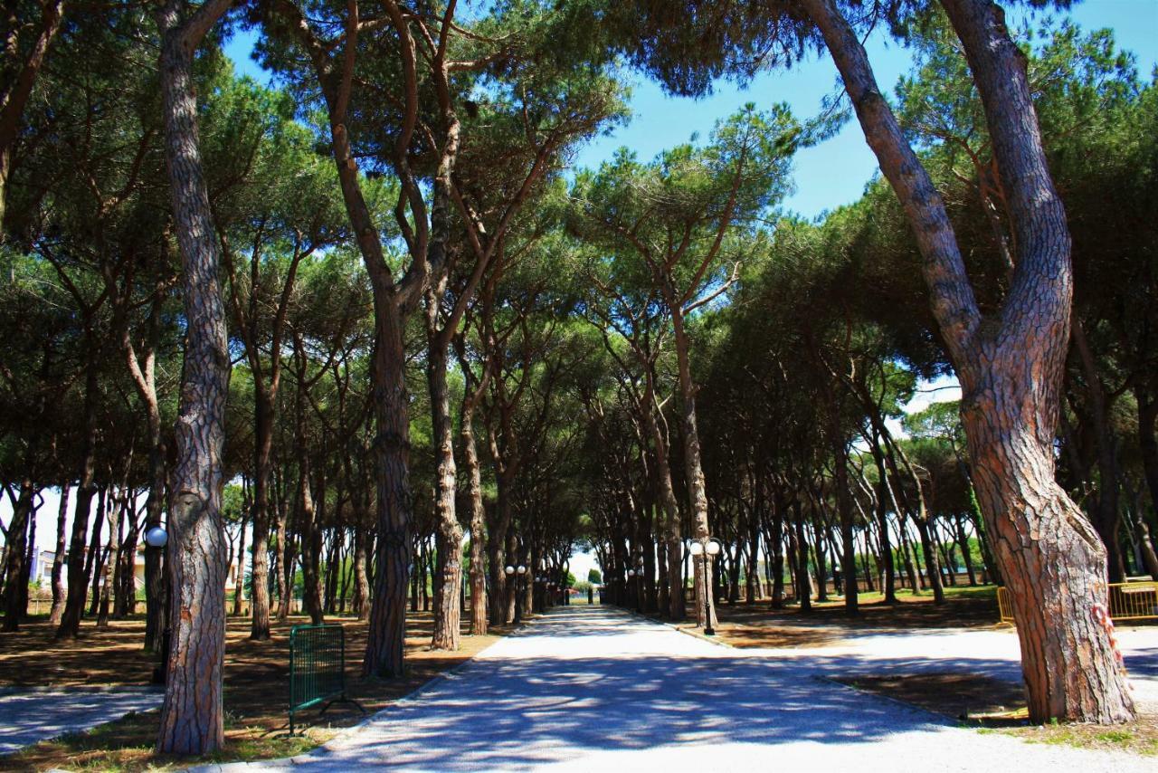 Hotel La Pineta Dei Liberti Lido dei Pini Esterno foto