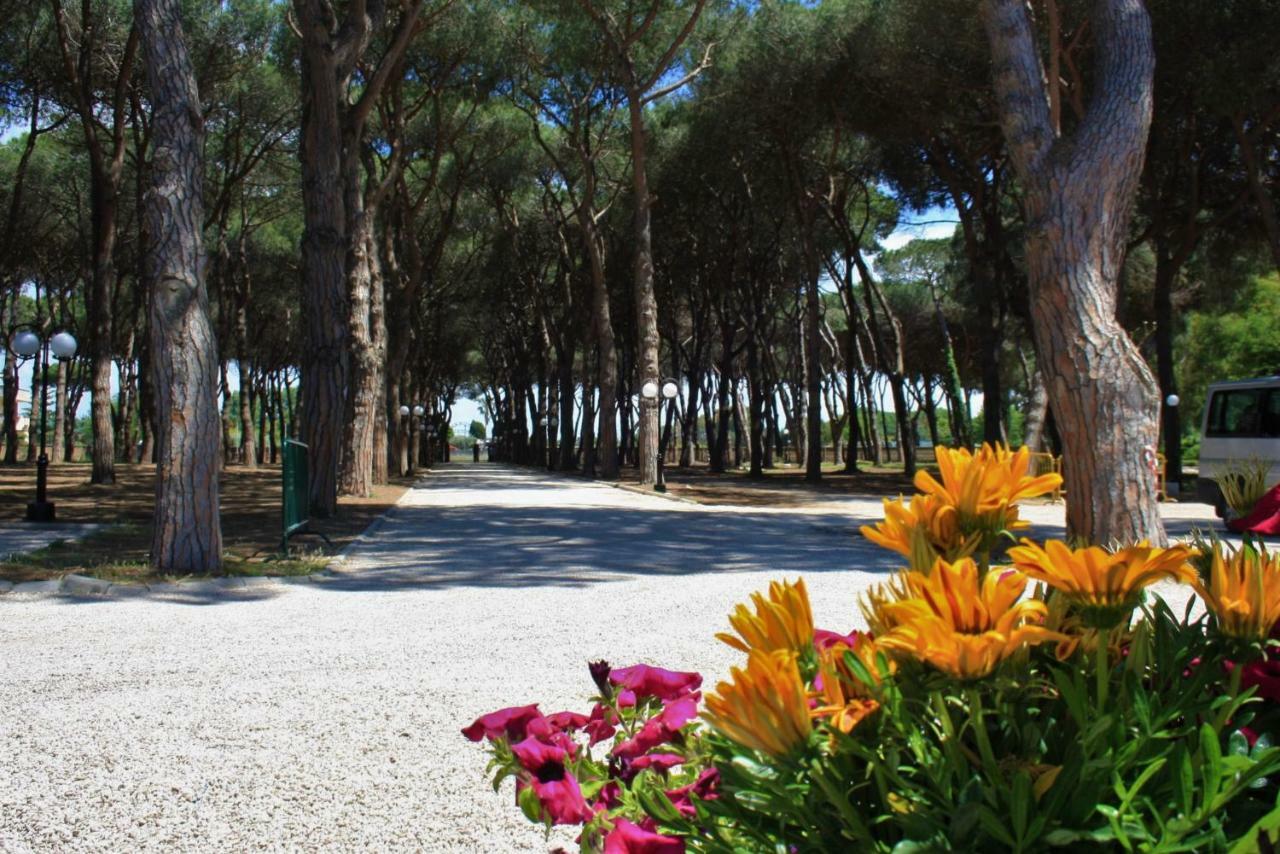 Hotel La Pineta Dei Liberti Lido dei Pini Esterno foto