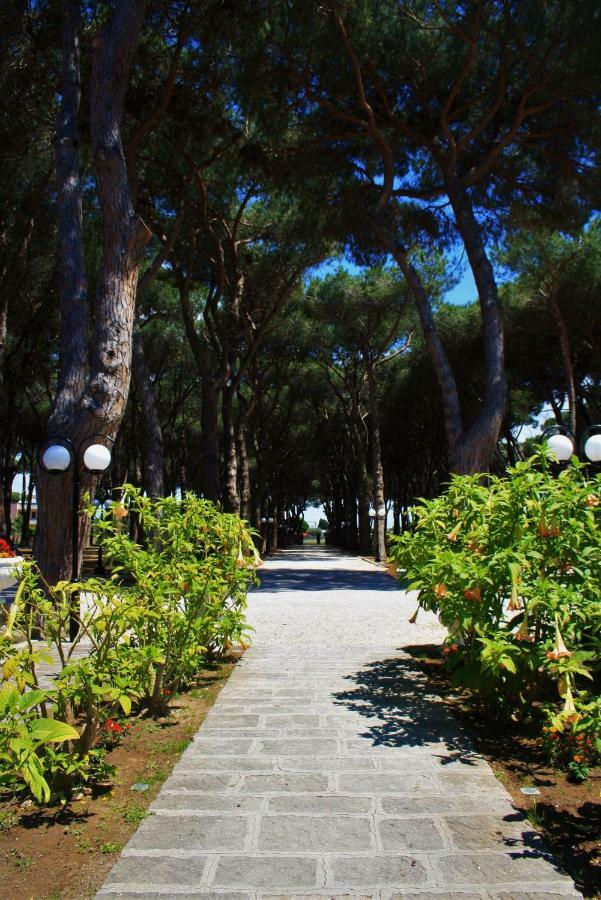 Hotel La Pineta Dei Liberti Lido dei Pini Esterno foto